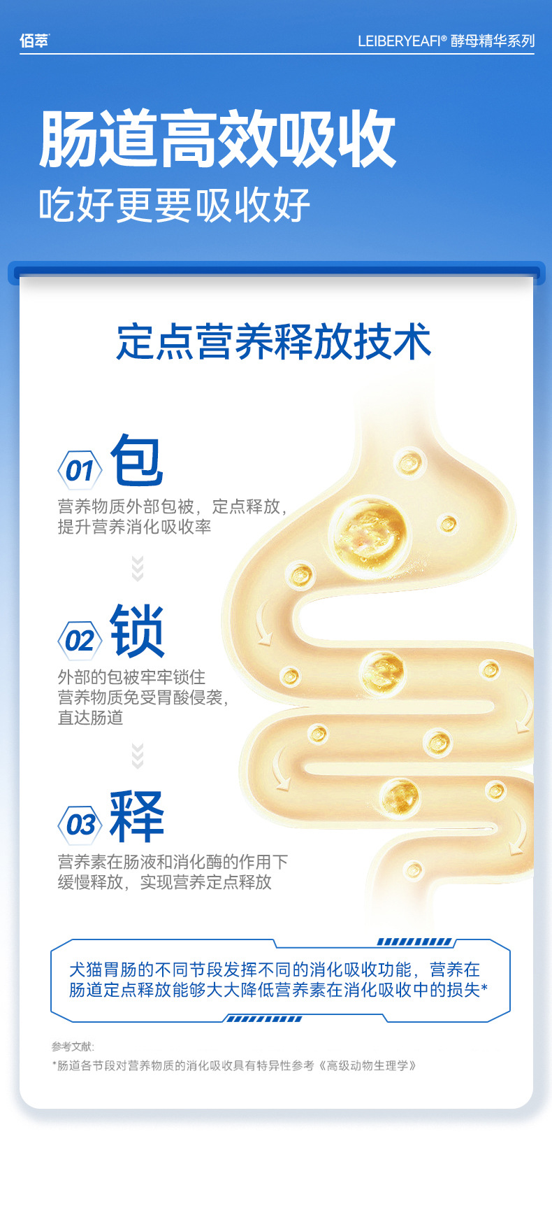 鯷鱼_09