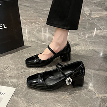 2025ﶬ¿ƤЬӢLָˮСƤЬ͹QrbЬ