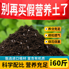 营养土养花通用型多肉花土种花种菜家用有机土壤种植肥料包邮