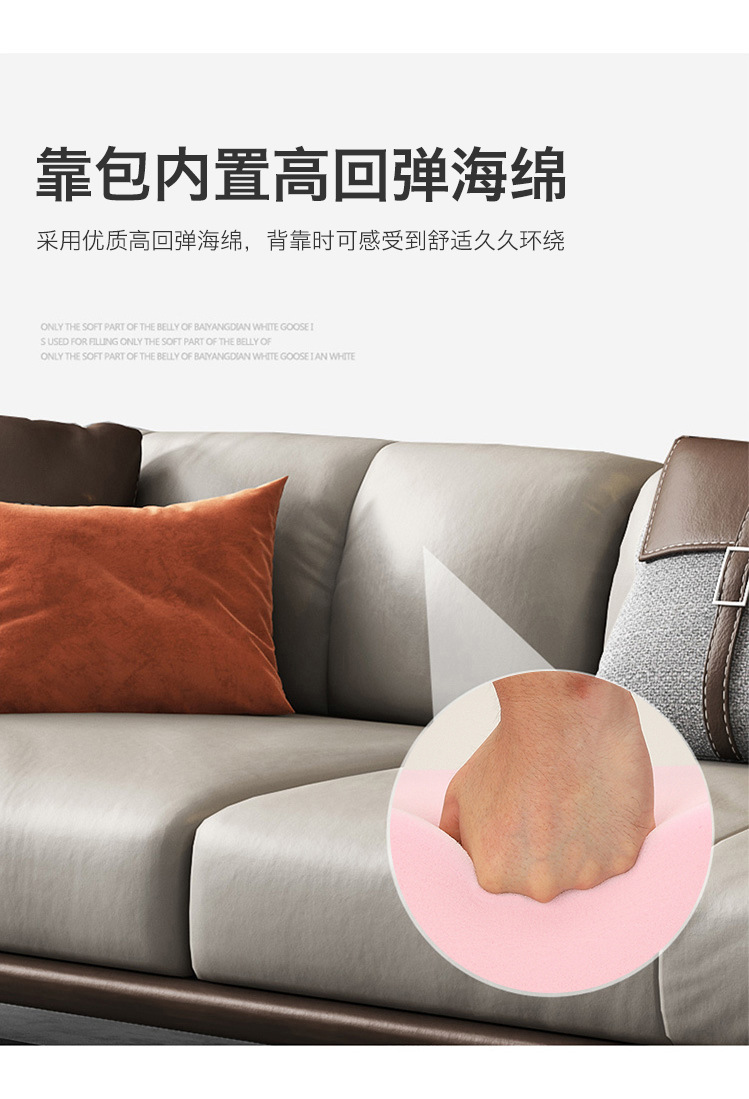 详情 (12).jpg?x-oss-process=image/format,png