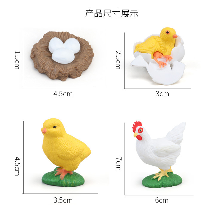 生长周期内页_05