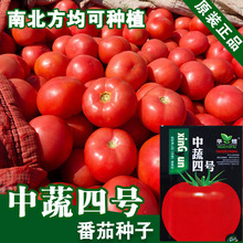 ���ѷN�ӷ����� �߲˷N���̨���Թ���ͥԺ�Nֲ���� ���t���N��