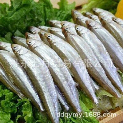 鸭绿江特产公鱼高蛋白低脂肪鲜冻公鱼出口日韩海鲜银鱼淡水野生