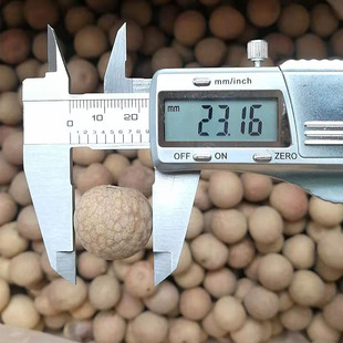 �������l�V�����A��500g/��С������r���خa���T��ʳ���۹��A��