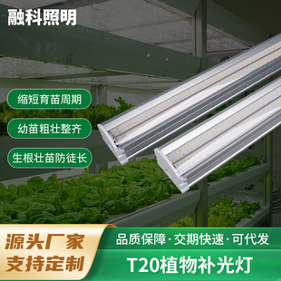 ȫ���VT20ֲ���a���ֲ�����L���҃Ȼ����߲˶���NֲLED�a�����