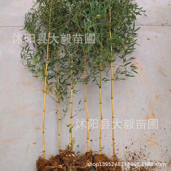 微信图片_20230716142944