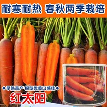 �߮a�����֭���}���N�� ���＾���߲��� �̨���Դ���ó��׷N��