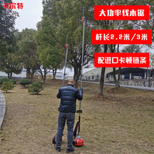 ��֦������Ͷ��ě_���L�U��֦��M��朗l��ľ䏸߿ռ���֦������