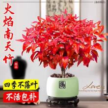 �������������Ԙ��簫���^�~С�辰�҃ȶU��΢���^�ͺ��Gֲ����B