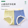 girl Supersoft modal Underwear No trace Middle-waisted Taxol purify Bacteriostasis lady Triangle pants wholesale