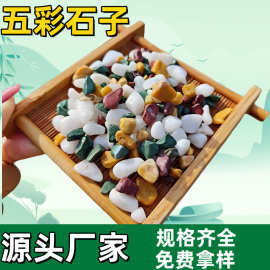 彩色石子卵石水洗石地坪胶黏石园艺五彩石子水磨石骨料装饰