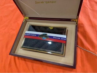 ���_˹�M��20�^�������Bֳ���ɺ�����t����̅����Ņ��Ǉ��a�