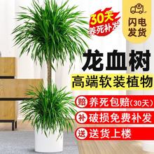 ��Ѫ��͏d�Gֲ�҃����Դ��Ϳ͏d���辰���B��횘���լֲ�����F��