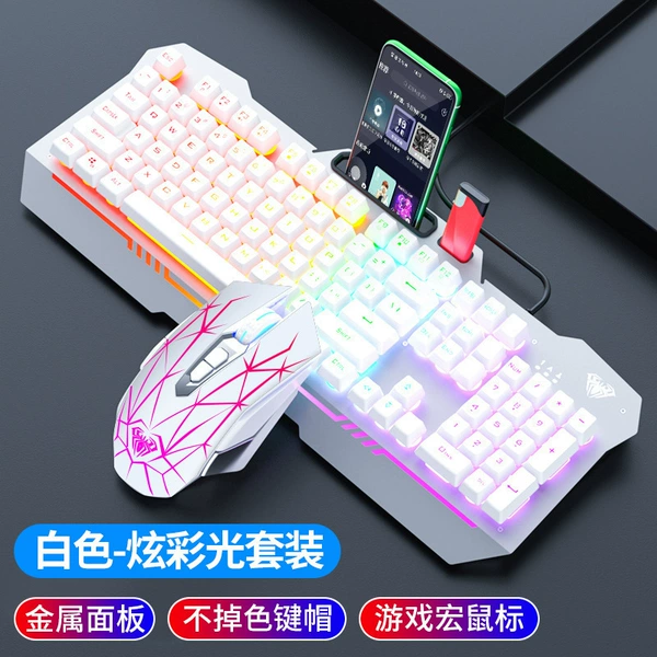 White keyboard, S50, mouse