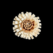 �F؛���l|4cm�ջ�ͨ�ݻ��ɻ� �o����޹�Ҿ��bU�㻨��Ȼɢ�㻨