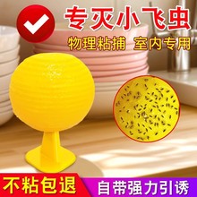 跨境粘虫球诱蝇球厨房卫生间果蝇球粘黏小飞虫去除蚊虫果蝇诱捕器