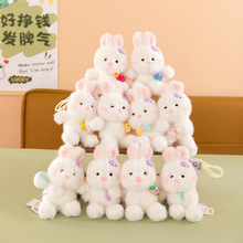 �ɐ��ǹ�С����ë�q��ߴ�����ż����耳׿ے�����п�ͨ�[�����l