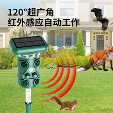 ���N�¿����̫��ܳ�����s����B�����������s�����R�d����