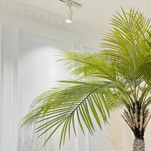 盆景樹綠仿真大型植裝飾樹海南針假酒店椰子盆栽仿生椰子樹熱帶葵