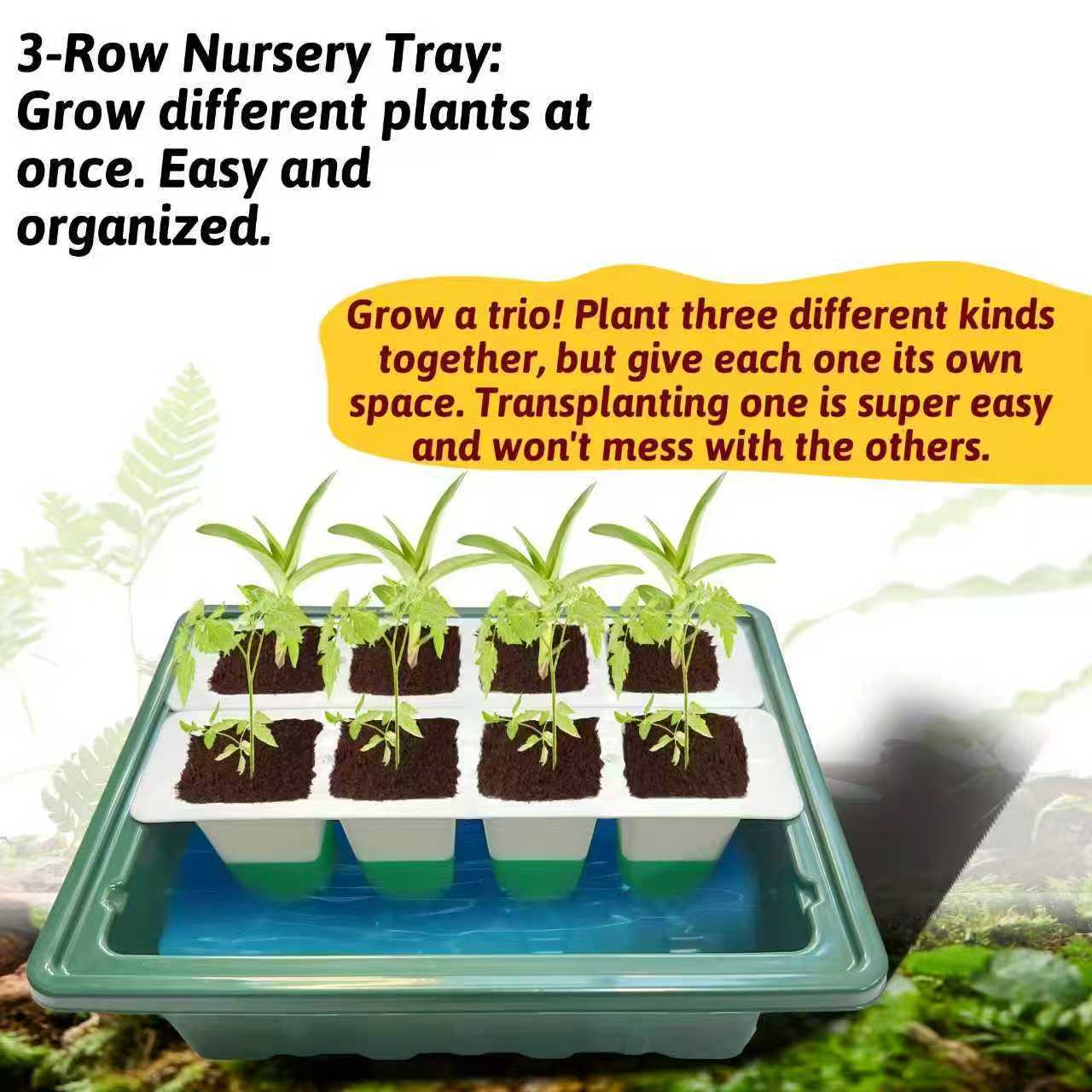 b950a2dd303dc9a9ca413707c1c273