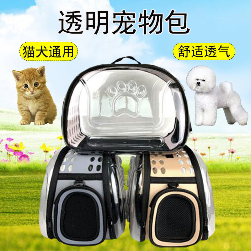 cdd91b66-d462-4366-b134-58a7d7390e5c.jpe