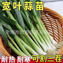 �ļ����~����N��һ���ļ������B�m���ռtƤ�������r�Ҵ����߲���