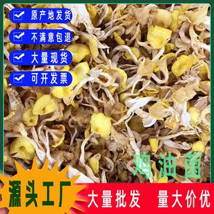 �u�;��S���S�z�����SĢ������ԭ����؛��؛���l�ߜ�ʳ��