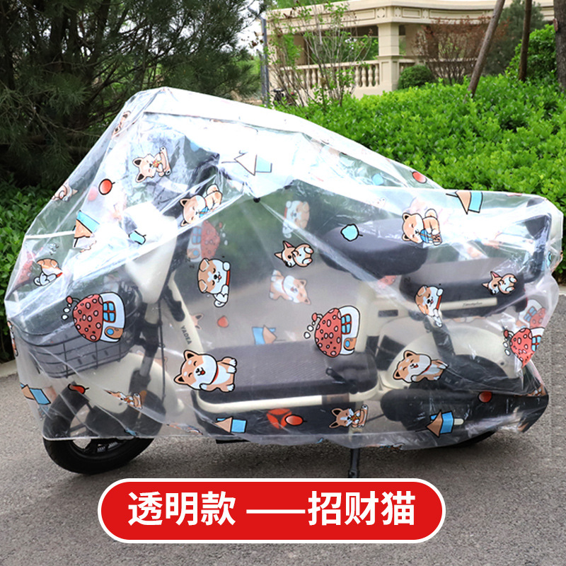 투명한 행운의 고양이