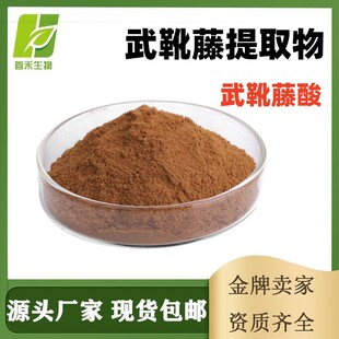 ��ѥ���� 25%-75% HPLC�׸�����ȡ��ˮ����90045?47?9 Gymnemic
