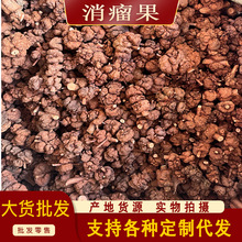 ��������ș�����l ��������� �S����� ������ ������