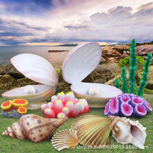 仿真大贝壳摆件海螺雕塑假珊瑚工艺品珍珠蚌模型海洋主题装饰道具