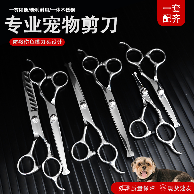 Tijeras de mascotas profesionales, tijeras de dientes, tijeras de perros