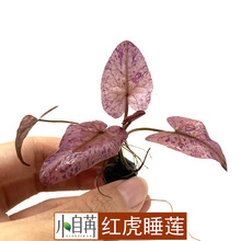 �t����˯ɏ��ˮ�ݻ��w�^�pˮ���~��ˮ�����쾰�b����lʯ��