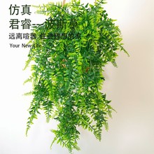 �S�����l����ֲ�ﲨ˹���ٗl�ٻ��ٗl�G���b�ֲ��řڲ廨���