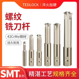 SMT深孔内冷螺纹铣刀  TMSD螺纹铣刀TM2SC-25W21-60-2U