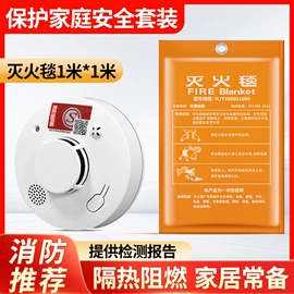 气体检测仪;其他气体分析;报警探测器