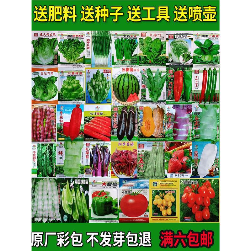 蔬菜种子四季播种阳台农家庭院盆栽生菜菠菜韭菜香菜草莓籽孑
