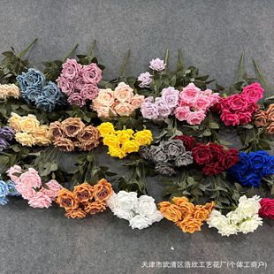 9�^��õ�� �ʯõ�����õ�����Q��c·�����������b���õ��