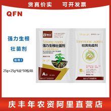 生根壮苗剂 生根剂预防死颗枯萎烂苗 叶面肥25g+25g