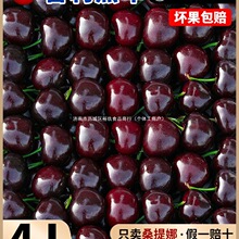 ����܇�������rˮ�����]5��ɣ���ȶY�Ю��������ЋD3j�M��5j����4