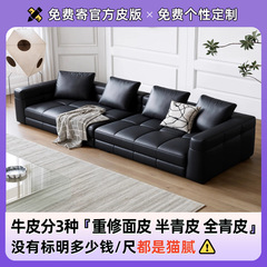 布雷泽沙发时增亚岛全半青皮黑色高级感客厅三四人位直排真皮沙发