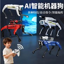 �羳����������ܙC�����Z��Ԓ�߿Ƽ��֙C�b�ؾ���늄���߃�ͯ