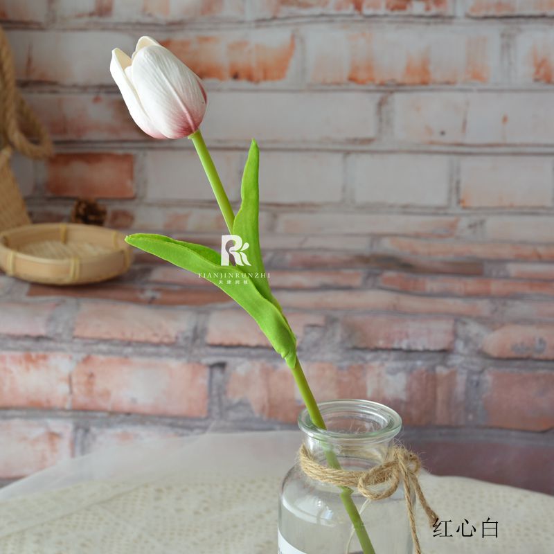 레드 하트 화이트