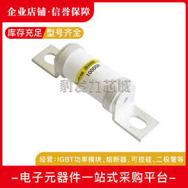 1000GH-32UL 1000GH-40UL 1000GH-50UL快速熔断器 保险丝 断路器