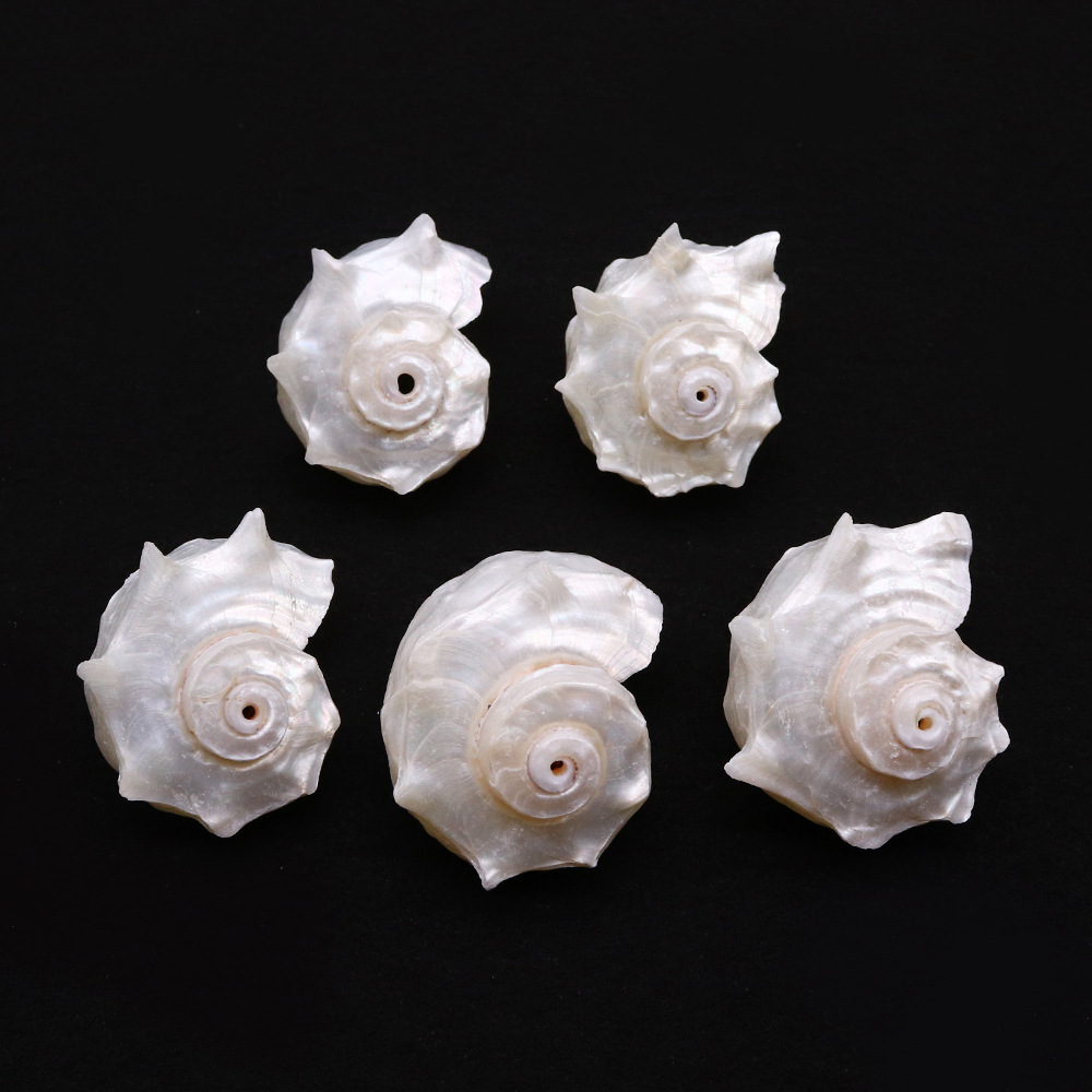 15g Weight 1 Piece 25-40mm Shell Shell Faceted Jewelry Accessories Beads