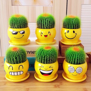 �������҃������k��������B��С�辰�����ƶ���ֲ���ͺ����B�׻�