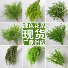 �Gɫϵ���滨�׾Gɫ�Y�鲼����횲�ǧ�ӽ��J����ɭϵ����Gֲ�쾰