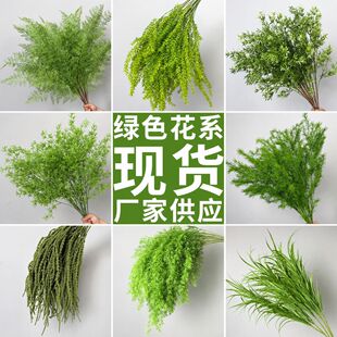 �Gɫϵ���滨�׾Gɫ�Y�鲼����횲�ǧ�ӽ��J����ɭϵ����Gֲ�쾰