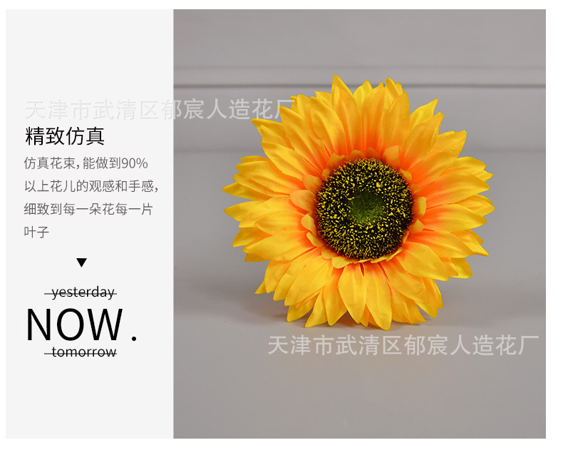 向日葵花朵_06.jpg