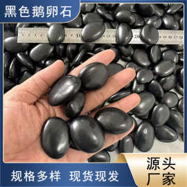 黑色鹅卵石精抛鹅卵庭院铺地铺路花园造景鱼缸底沙雨花石黑色石头